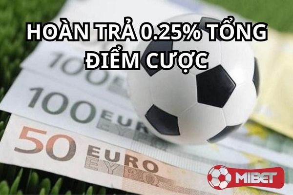 Hoàn trả 0,25% là chương trình khuyến mãi cực hời cho người chơi Hoàn trả 0,25% là chương trình khuyến mãi cực hời cho người chơi