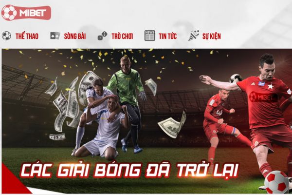 Thể thao là lĩnh vực phổ biến và được đông đảo người chơi quan tâm