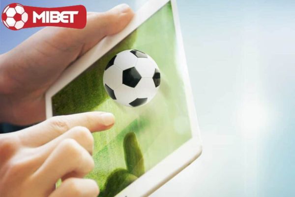 nha cai hoat dong hon 20 nam trong web ca do bong da qua mang Nhà cái đã hoạt động 20 năm trong lĩnh vực bóng đá